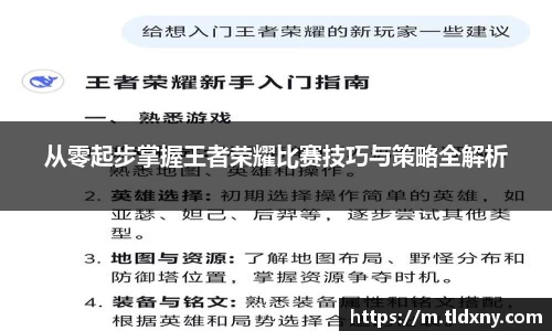 vsport体育官网入口