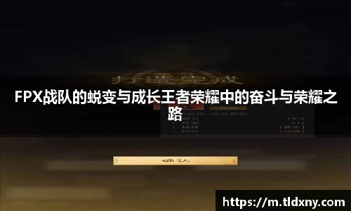 FPX战队的蜕变与成长王者荣耀中的奋斗与荣耀之路