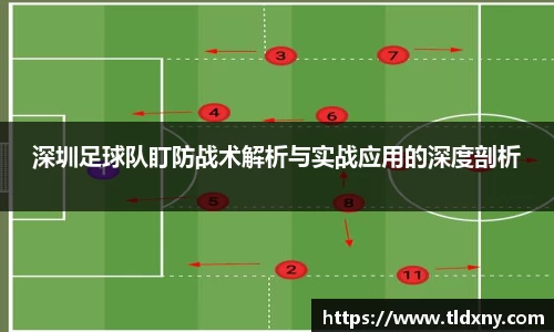 vsport体育官网
