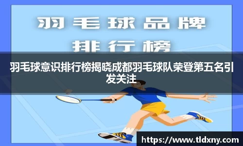 vsport体育官网入口