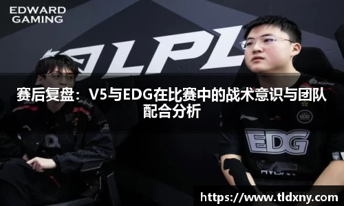 vsport体育官网