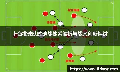 vsport体育官网入口