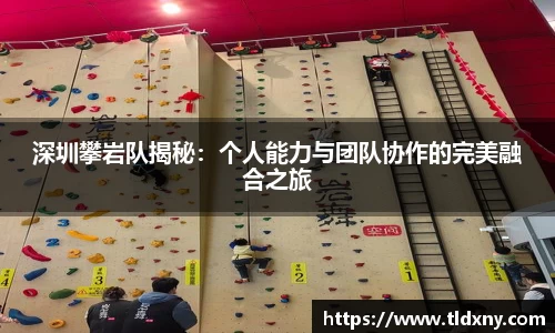 深圳攀岩队揭秘：个人能力与团队协作的完美融合之旅