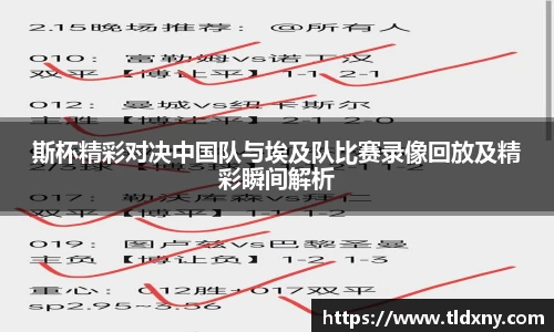 斯杯精彩对决中国队与埃及队比赛录像回放及精彩瞬间解析