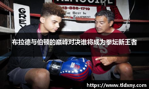 vsport体育官网
