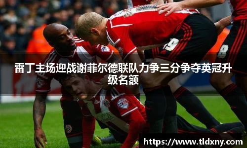 vsport体育官网