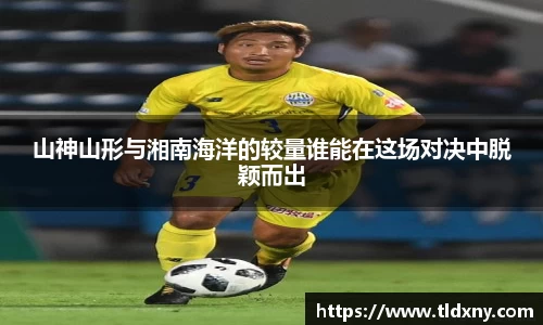 山神山形与湘南海洋的较量谁能在这场对决中脱颖而出