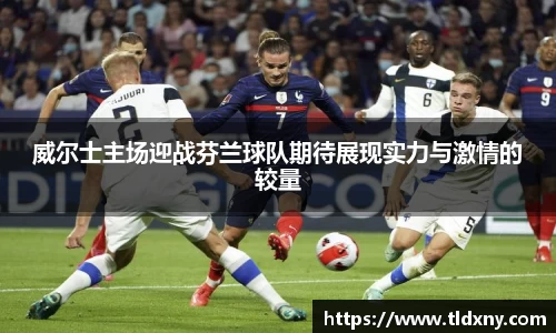 威尔士主场迎战芬兰球队期待展现实力与激情的较量