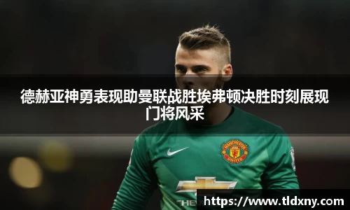 德赫亚神勇表现助曼联战胜埃弗顿决胜时刻展现门将风采