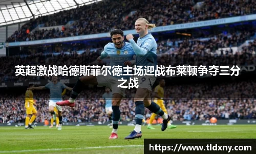 英超激战哈德斯菲尔德主场迎战布莱顿争夺三分之战