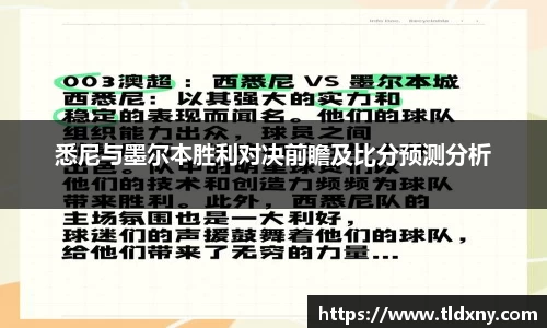 vsport体育官网入口