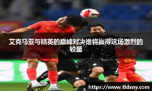 vsport体育官网入口