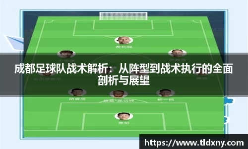 成都足球队战术解析：从阵型到战术执行的全面剖析与展望