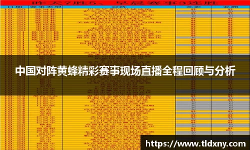 中国对阵黄蜂精彩赛事现场直播全程回顾与分析