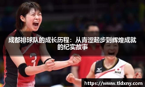 成都排球队的成长历程：从青涩起步到辉煌成就的纪实故事