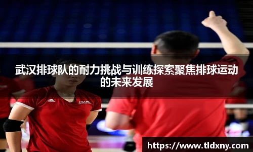 武汉排球队的耐力挑战与训练探索聚焦排球运动的未来发展